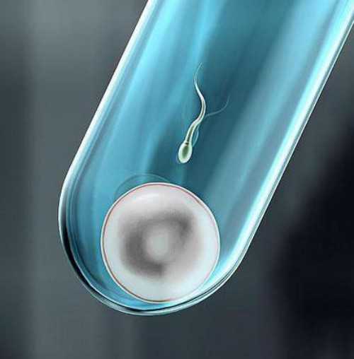 镇江代生协议，镇江供卵生殖机构（镇江供卵必到传承生殖）