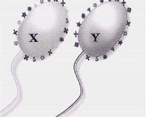 镇江供卵试管机构排名