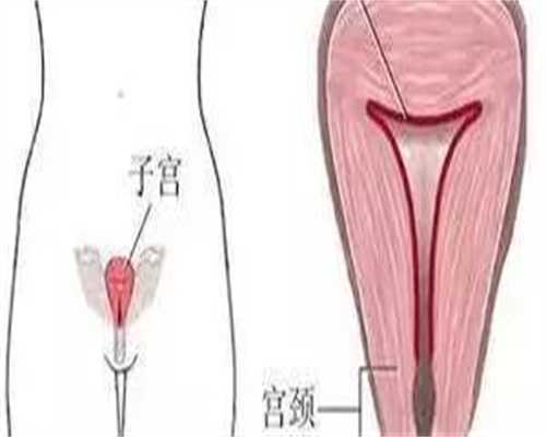 镇江供卵带怀，镇江哪有供卵医院吗（镇江供卵哪里可以提供）