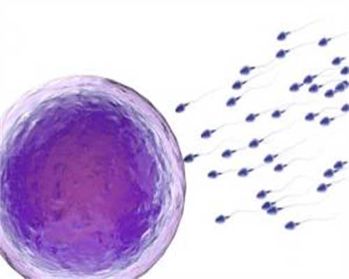 试管代生收费:试管移植后同房怎么办？