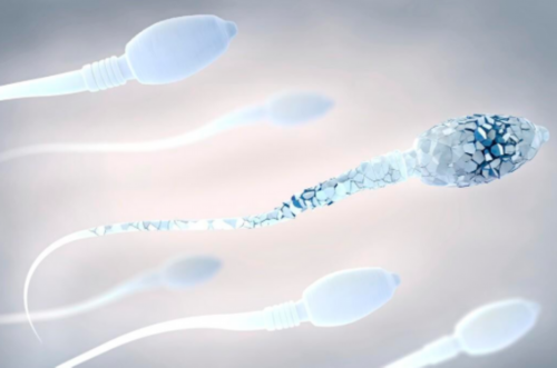 镇江代生成功，镇江陪产假多少天