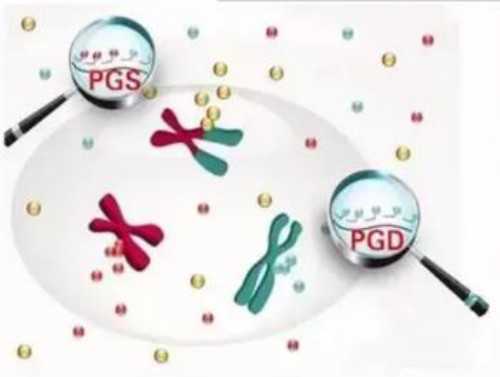 镇江助孕公司有哪些（助孕100%实惠）