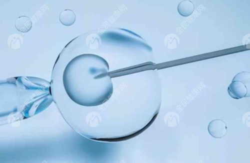 试管婴儿移植囊胚后着床的表现是什么