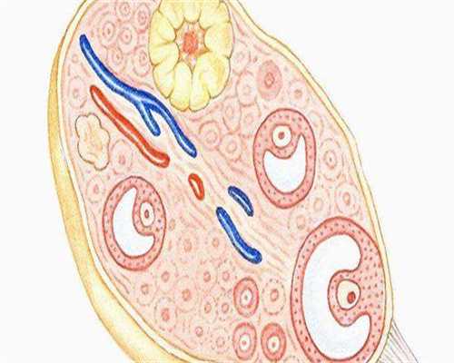 四川代生产子价钱，四川辣椒油_四川辣椒油的做法_四川辣椒油的功效