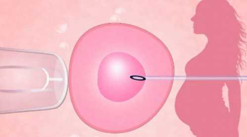 镇江试管助孕中心公司，镇江试管助孕代生的背景