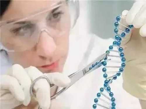 代孕套餐介绍-月经期间会有卵泡吗？月经期卵巢卵泡的大小和数量