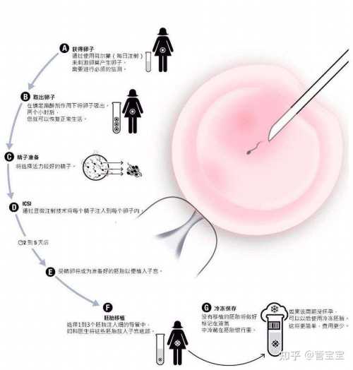 镇江代怀生孩子-镇江代怀金陵生子网的背景