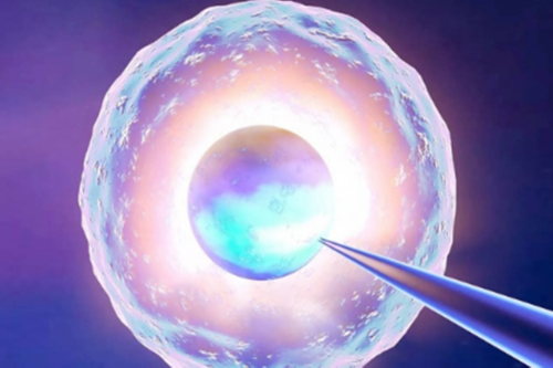 借卵保证成功:情绪波动大会影响月经吗