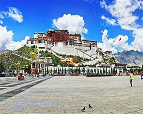 镇江借卵生子的费用-镇江借卵网的背景