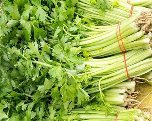 价格供卵试管多少钱，长沙试管供卵代怀