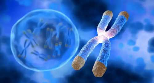 四川助孕代生机构名单