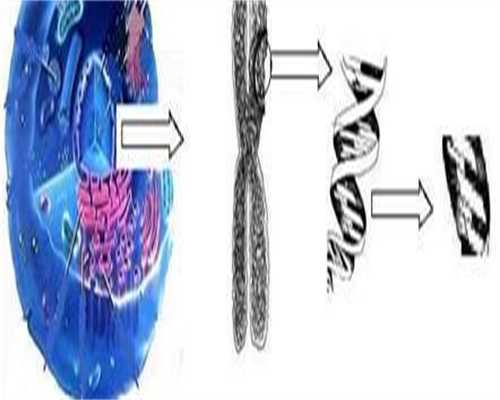 试管婴儿移植后，如何计算预产期？