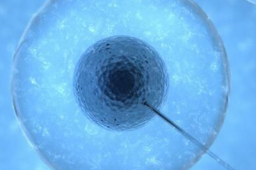 38岁高龄女子这样备孕二胎可以一击即中-独特备孕技巧分享