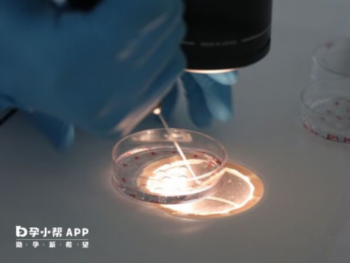 镇江代孕中心安全吗，镇江供卵代怀