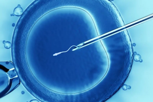 做泰国试管婴儿，你适合哪种基因检测？