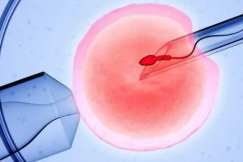 染色体有问题可以做泰国试管婴儿吗？