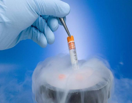 镇江助孕代生产子，镇江供卵代生