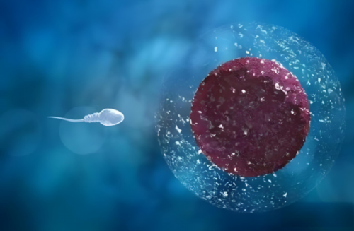 镇江借卵机构多少钱（供卵试管包男孩包成功）