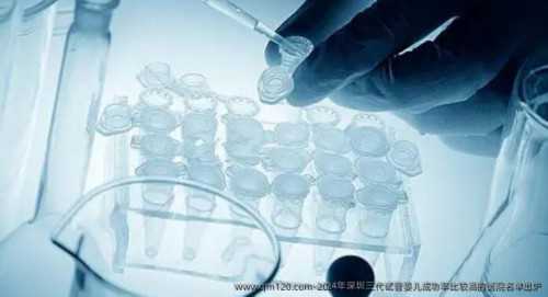 深圳供卵试管的成功率，深圳供卵的联系方式电话