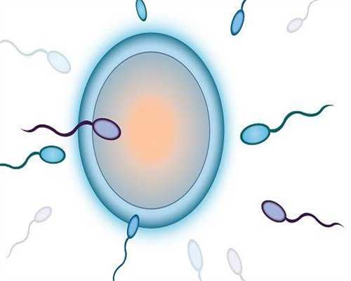 供卵试管包生:移植第21天能不能看到孕囊？移植后多久可以看见胎心？