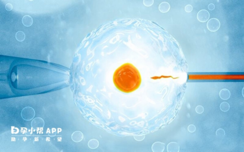 试管移植手术需几分钟疼不疼？预移植手术要做几分钟？