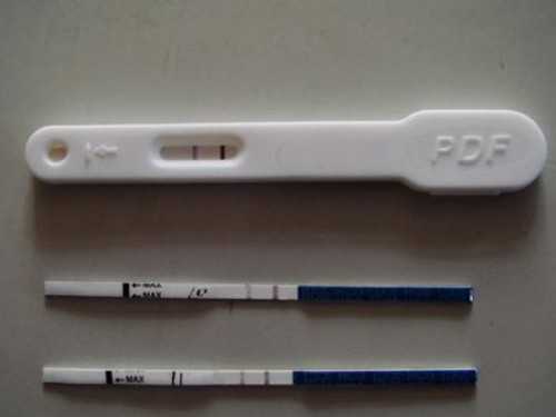 包代生孩子:排卵后多久受精