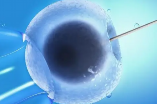 助孕公司包成功,卵巢癌风险提升？做试管婴儿后有多少人得癌症？