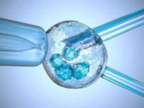 镇江代怀企业，镇江哪家医院丰臀好