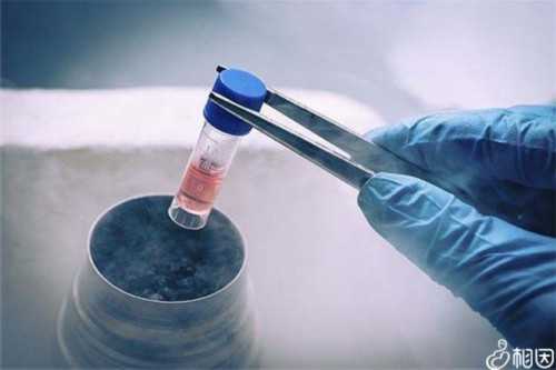 镇江供卵收费（助孕行业首选，专业放心）