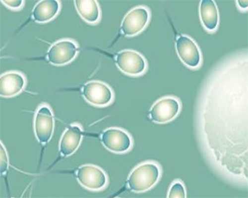 国内助孕_第3代试管生儿子的概率,二代试管胚胎移植成功率提高了吗？
