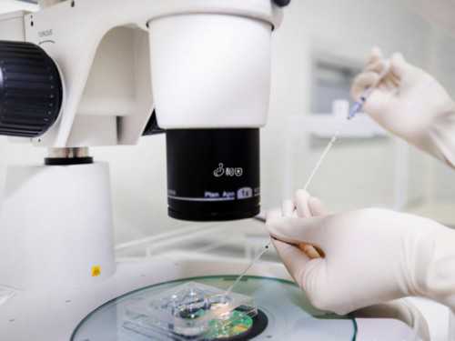 镇江谁愿意做助孕-镇江供卵天子助孕费用