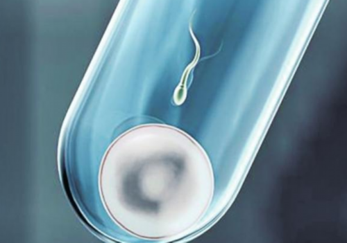 镇江代怀生子喂奶多少钱（镇江非婚生子罚款吗）