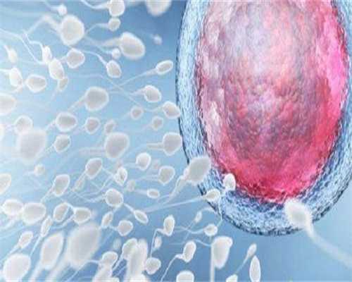 试管婴儿移植后吃什么食物和水果