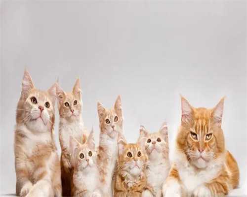 镇江代生公司排名-镇江代生的背景介绍