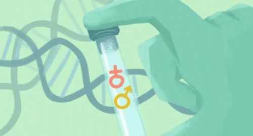 卵巢多囊能根治吗