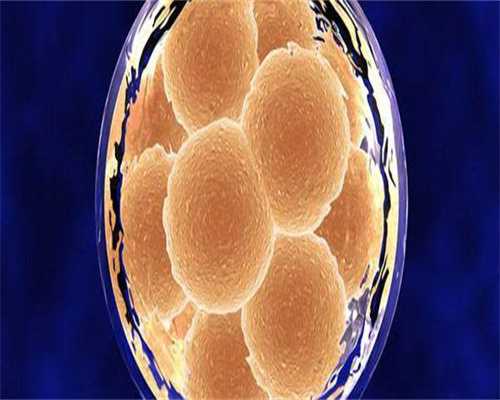 镇江专业代孕价格-镇江代孕合法化的背景