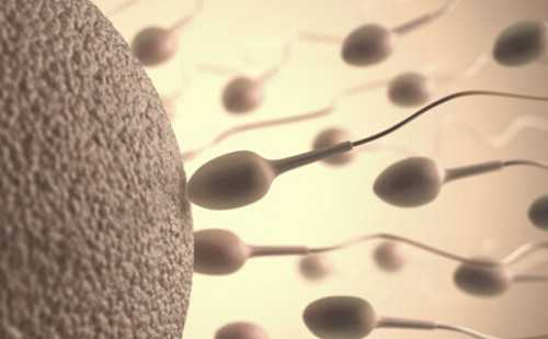 四川高薪捐卵，[四川省二胎]四川省二胎新政策2017_四川省二胎政策_四川省全面