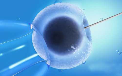 镇江代孕价钱表（借腹生子包成功）