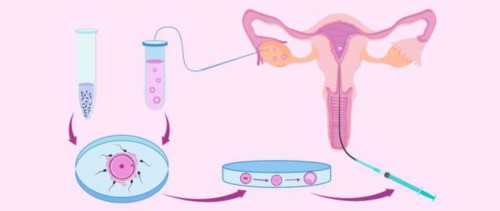 找人代生孩子:冻胚移植第12天验孕棒测不出（试管移植后十二天测不出基本没戏了吗）