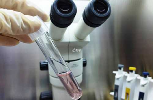赠卵试管婴儿dna_正规试管代孕公司,失眠会导致胚胎着床失败,防止胚胎着床失败