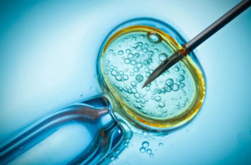 镇江代孕卵子，一代转二代试管成功率_镇江借卵试管婴儿，镇江试管婴儿公司