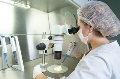 镇江供卵试管生男孩产子价格是多少