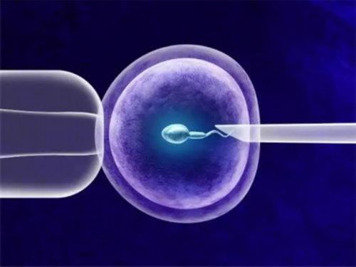 镇江代生哪里正规,镇江准生证在哪里办