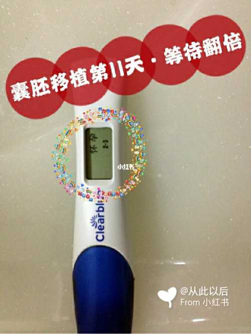 子宫腺肌症的饮食调理方法有哪些？子宫腺肌症的饮食有哪些禁？