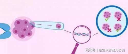 镇江供卵公司机构-镇江正规供卵机构排名