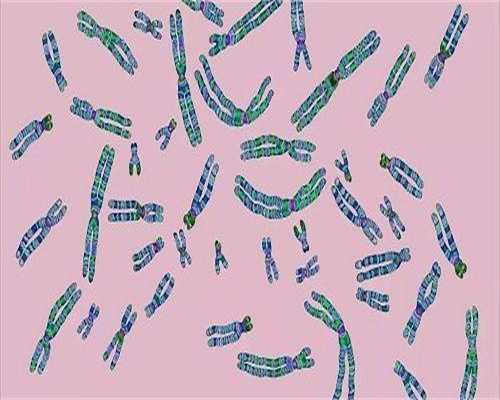 什么是子宫肌瘤子宫肌瘤的治疗怎样？