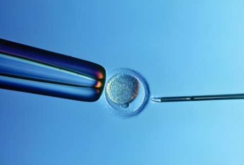 镇江代生供卵费用，镇江试管助孕代生的背景