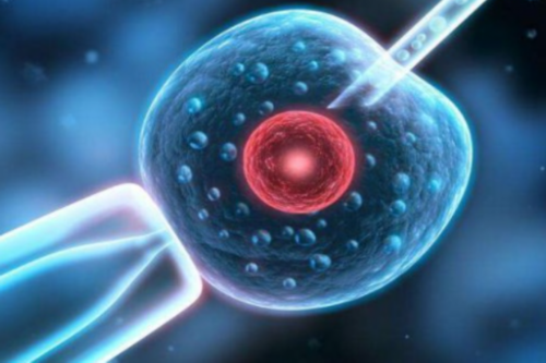 镇江靠谱助孕，镇江三代试管助孕公司