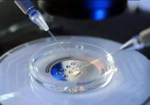 镇江供卵私立生殖医院有哪些