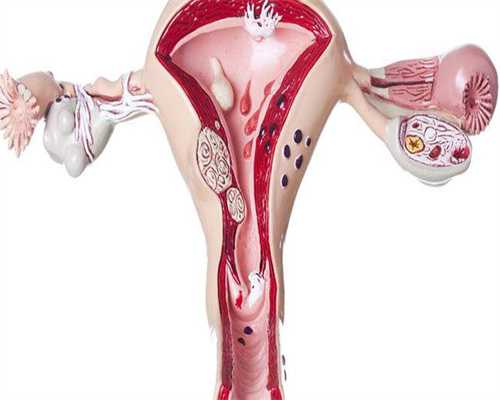 镇江正规供卵中心，镇江供卵试管生男孩_正规试管助孕机构